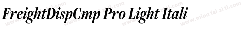 FreightDispCmp Pro Light Italic字体转换